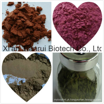 Dioscoreae Rhizoma / Extrato de Yam Selvagem / Yam Rhizome Extract Powder